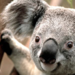 Profile picture of Marisol Ramos