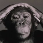 Profile picture of Peter Porzig