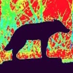 Profile picture of Amy Nelson