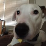 Profile picture of Josh Epstein