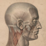 Profile picture of Thorsten Wuebbena