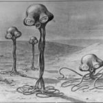 Profile picture of Iskandar Zulkarnain