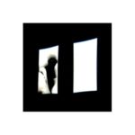 Profile picture of Alice Valente Alves