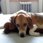 Profile picture of Ellen Prokop