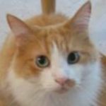 Profile picture of Mark Yeary