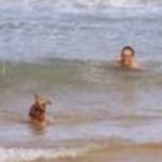 Profile picture of Rodrigo Fernos