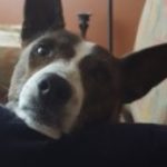 Profile picture of Peter Berkery