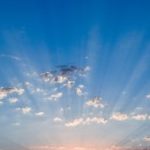 Profile picture of Marie-Thérèse Labossière Thomas