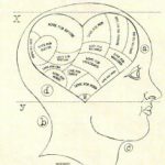 Profile picture of Johanna Hoorenman