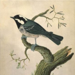 Profile picture of Emily Smith