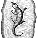 Profile picture of Jessica Wolfe