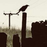 Profile picture of Ian Rodwell