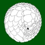 Profile picture of James Baillie