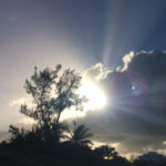 Profile picture of Lauren Egizio