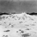 Profile picture of Mark D. Larabee