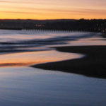 Profile picture of Jessica Howell