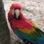 Profile picture of Bernd Brabec