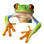 Profile picture of Merrick Lex Berman