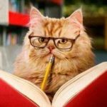 Profile picture of Luying Zhao