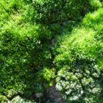 Profile picture of Renée Wagener