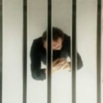 Profile picture of Ingo Frank