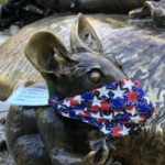 Profile picture of Tracy Ehrlich