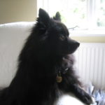 Profile picture of Sheila McTighe