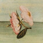 Profile picture of Chiara Cacciola