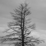 Profile picture of Mick Gusinde-Duffy