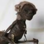 Profile picture of Jacob Rabinowitz