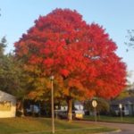 Profile picture of Christopher Estrada