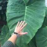 Profile picture of Eli London