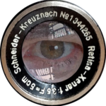 Profile picture of Michael Lyons