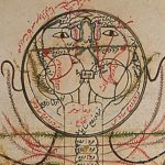 Profile picture of Shahrzad Irannejad