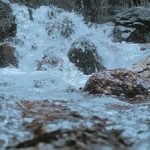 Profile picture of Bhat Tajamul