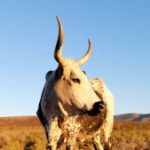 Profile picture of Michael Glover