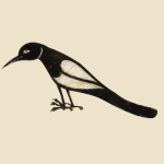 Profile picture of Margaret Sherwin