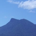 Profile picture of Jewel Vercoe Rainbow