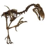 Profile picture of Marisol Amador