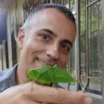 Profile picture of Amir Simantov