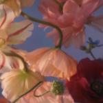 Profile picture of Kaitlyn McNulty