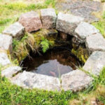 Profile picture of S M Sigerson