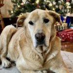 Profile picture of Matthew Reznicek