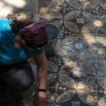 Profile picture of Sena Kurcenli Koyunlu