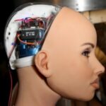 Profile picture of Elen Nas