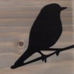 Profile picture of Rosy Azar Beyhom