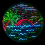 Profile picture of Rafael Salazar