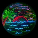 Profile picture of Rafael Salazar