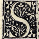 Profile picture of Sara Anabella Rodriguez