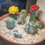 Profile picture of Robert Grant Halgren